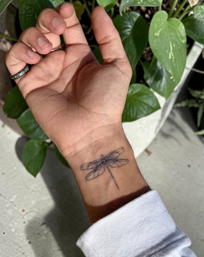 Glasswing